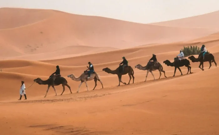 Morocco Desert Tour From Marrakech