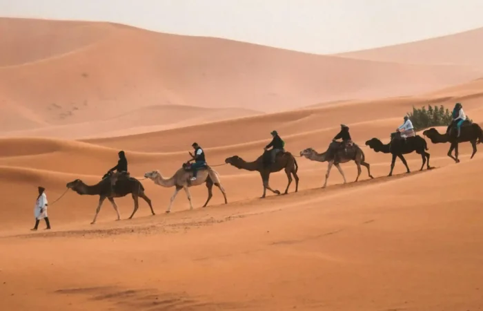 Morocco Desert Tour From Marrakech