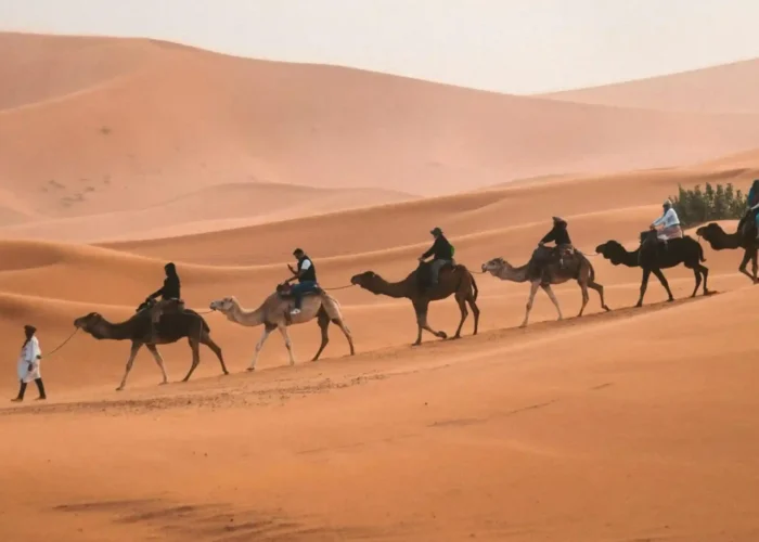 Morocco Desert Tour From Marrakech