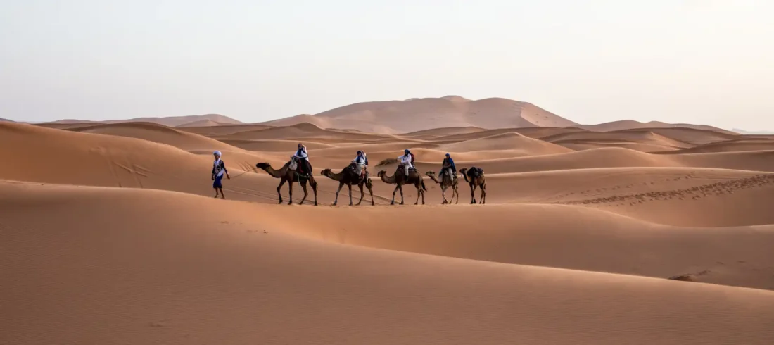 Path to Morocco Camel Riding camel riding activity path to morocco