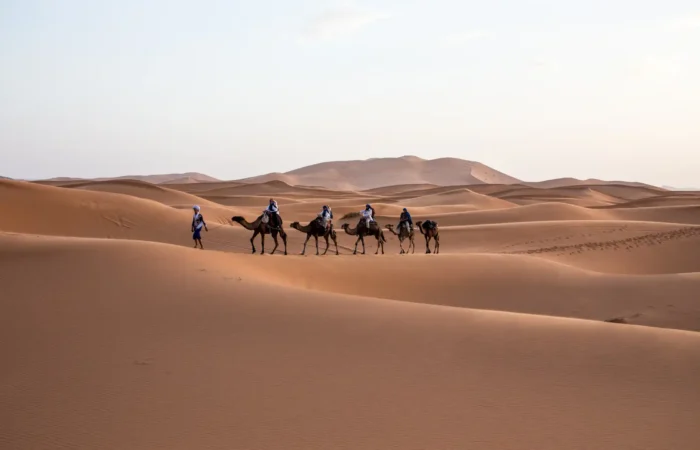 camel riding activity path to morocco