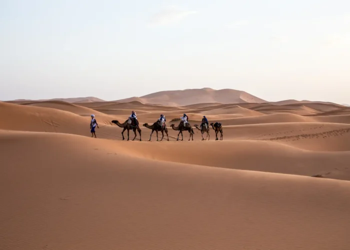 camel riding activity path to morocco