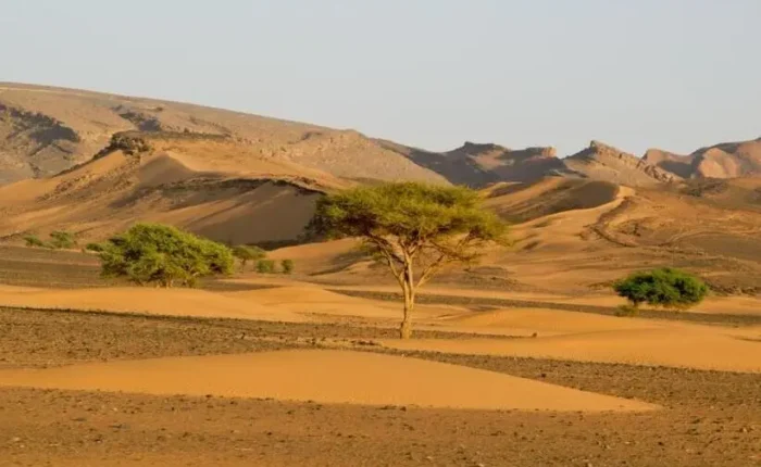 5 day desert tour from marrakech