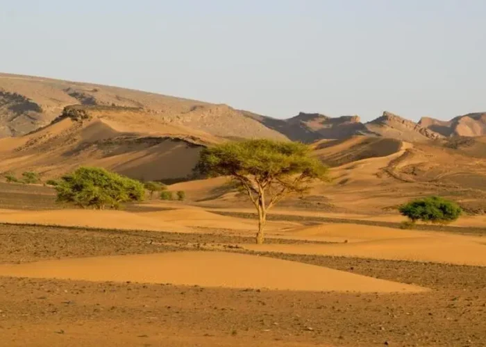 5 day desert tour from marrakech