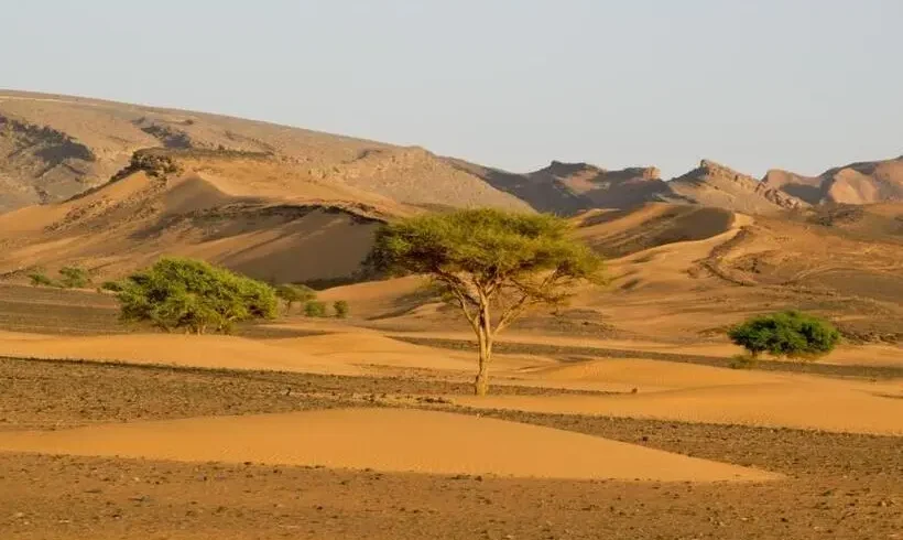 5 day desert tour from marrakech